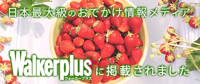 紹介記事